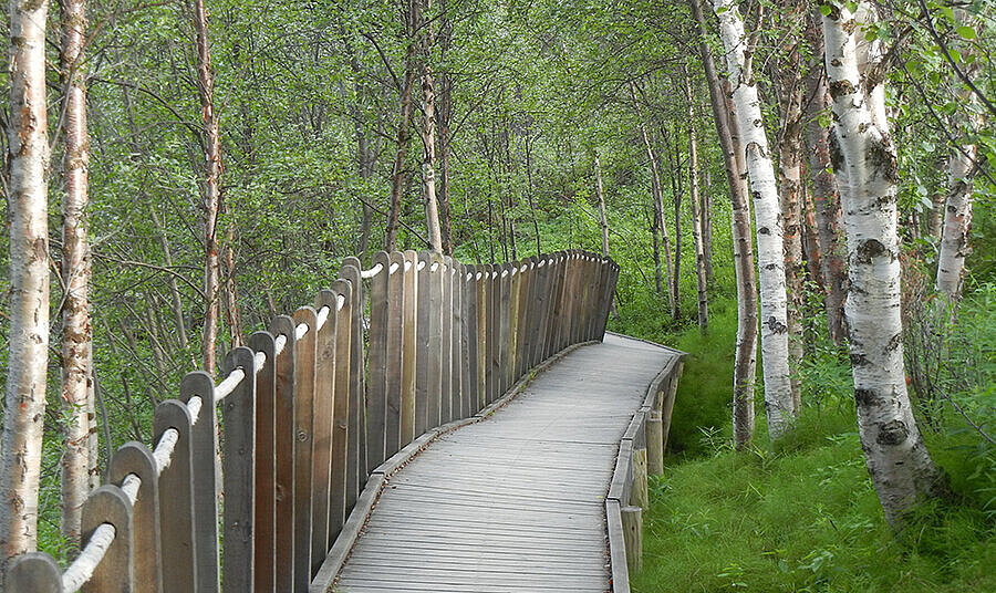 Wanderweg im Wald Wanderweg im Wald